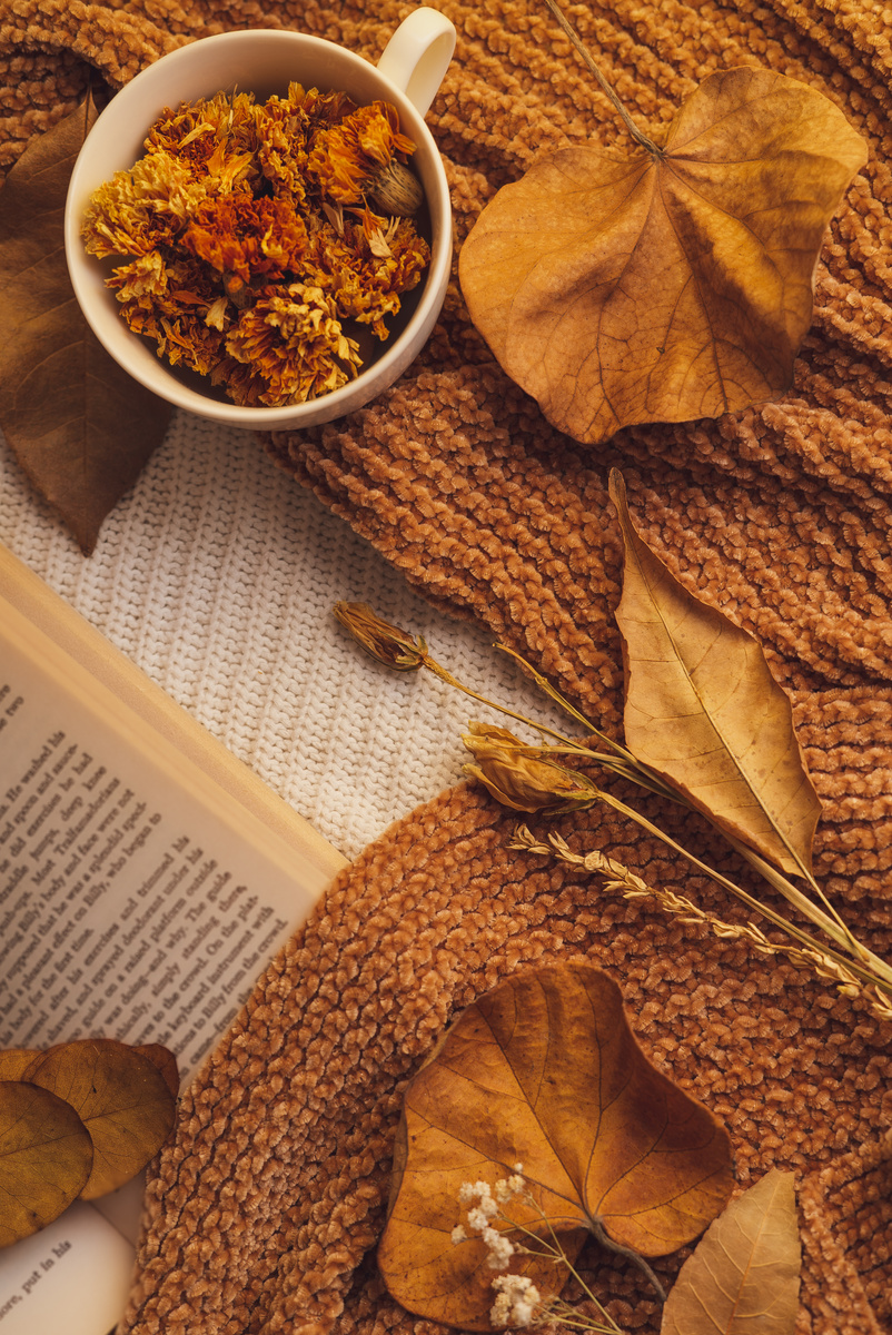 Autumn Botanicals Flatlay on Fabric